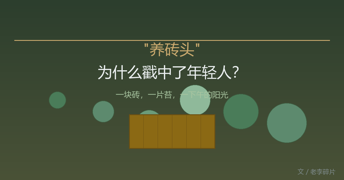 养砖头为什么戳中了年轻人